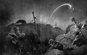 Rats Gallery: Wild Life on the Western Front - Rats in the Trenches