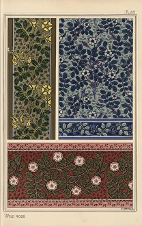 Andtheirapplicationtoornament Collection: Wild rose in art nouveau patterns