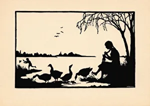 The Wild Swans