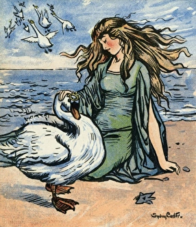 Transformed Collection: The Wild Swans