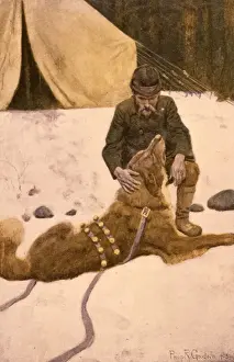 Rescues Prints: Call of Wild. Thornton