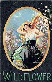 Wildflower by Oscar Hammerstein & Otto Harbach Wildflower by Oscar Hammerstein & Otto Harbach