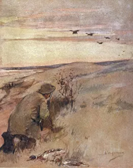 Hunting Collection: Wildfowling - Flighting