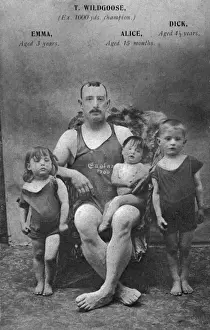 Dick Prints: Wildgoose family of swimmers