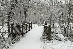 The Wildlife Garden