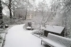 The Wildlife Garden