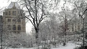 The Wildlife Garden