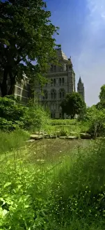 Wildlife Garden