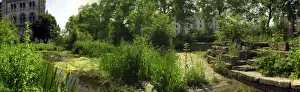 Wildlife Garden