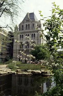 Malus Prints: Wildlife Garden, the Natural History Museum