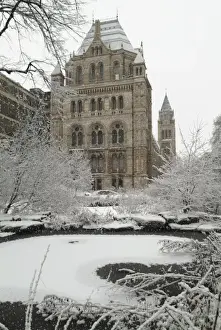 The Wildlife Garden in winter