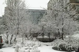 The Wildlife Garden in winter