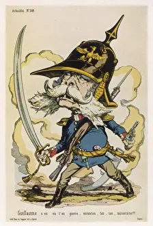 Whiskers Prints: Wilhelm I / Fuchs / 1870