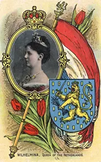 Wilhelmina - Queen of the Netherlands