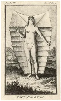 Wilkins Prints: Wilkins Birdwoman