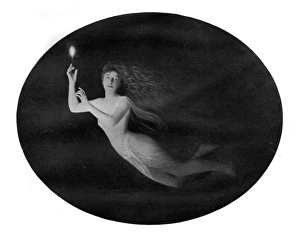 Images Dated 12th September 2016: Will-o -the-Wisp