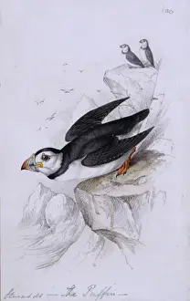 William Bartrams letter to Robert Barclay, 1788