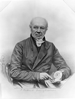 Ammonoidea Gallery: William Buckland (1784-1856)