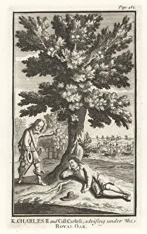 Cavaliers Prints: William Careless hiding King Charles II in an oak tree, 1651