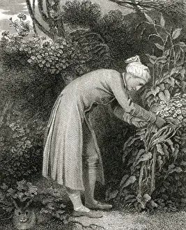 Bending Prints: William Cowper