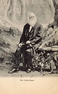 Journalism Prints: William Cullen Bryant, American poet and journalist