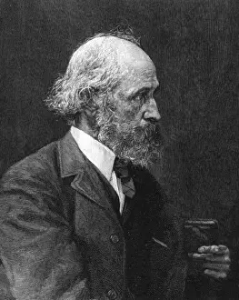 William James Stillman