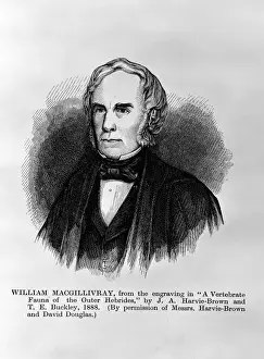 Ornithologist Prints: William MacGillivray (1796-1851)