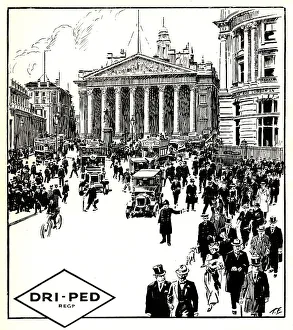 William Walker and Sons Dri-Ped Advertisement