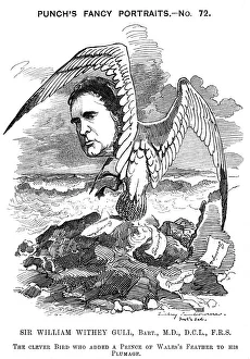 Whitney Gallery: William Whitney Gull