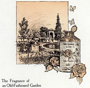 Williams Collection: Williams Talc Powder Advertisement