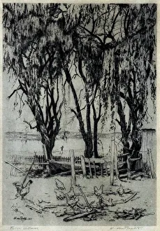 Chickens Prints: Three Willows