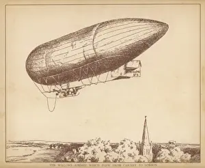 Willows Flight