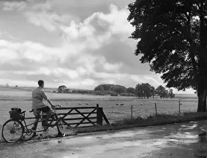 Wiltshire Downland