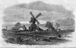 Wimbledon Common