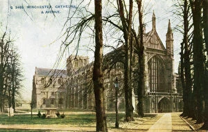 Cathedrals Collection: Winchester Cathedral, Winchester, Hampshire