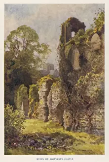 Winchester / Wolvesey 1908