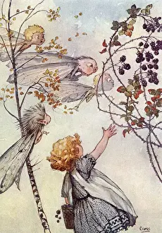 Reach Prints: Wind Elves teasing a child