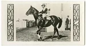 Jockeys Prints: Windbag, Australian race horse