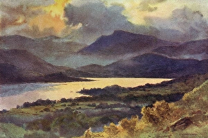 Images Dated 24th June 2011: Windermere (Haslehust)
