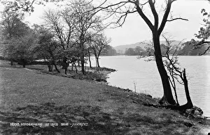 Shoreline Prints: Windermere at Lake Side