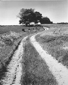 Images Dated 17th February 2016: Winding country path - Bix, Oxfordshire