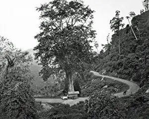 Winding country road, Ceylon (Sri Lanka)