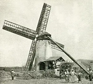 Sugar Prints: Windmill for processing sugar cane, Barbados, West Indies