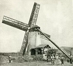 Images Dated 7th August 2018: Windmill for processing sugar cane, Barbados, West Indies