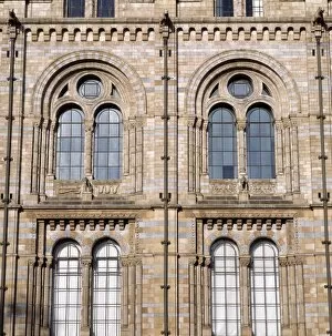 Window detail, the Natural History Museum, London