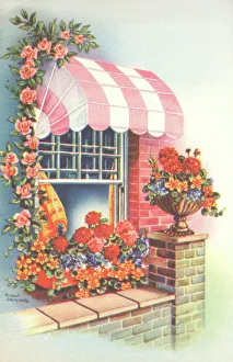 Window Floral Display