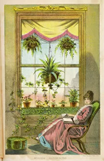 Decorating Gallery: Window Gardening