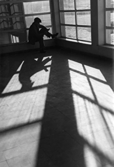 Shining Collection: Window Shadow