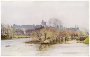 Fellows Prints: Windsor / Fellows Eyot