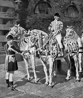 Greys Collection: The Windsor Greys in their Coronation Harness